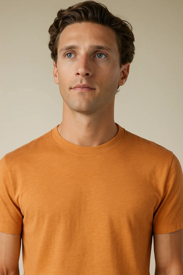 Wool City T-shirt Dust